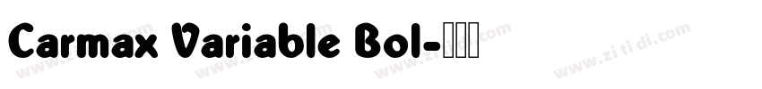 Carmax Variable Bol字体转换